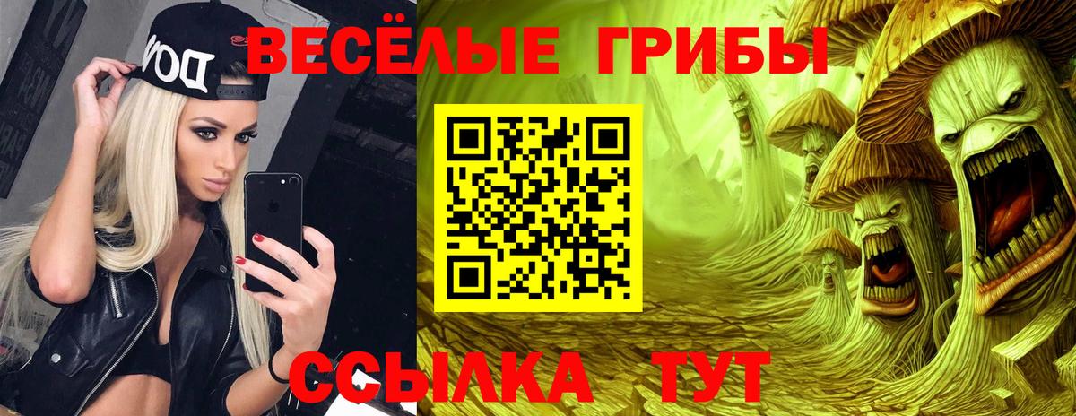 Псилоцибиновые грибы ЛСД  Вход с VPN  Бердск 